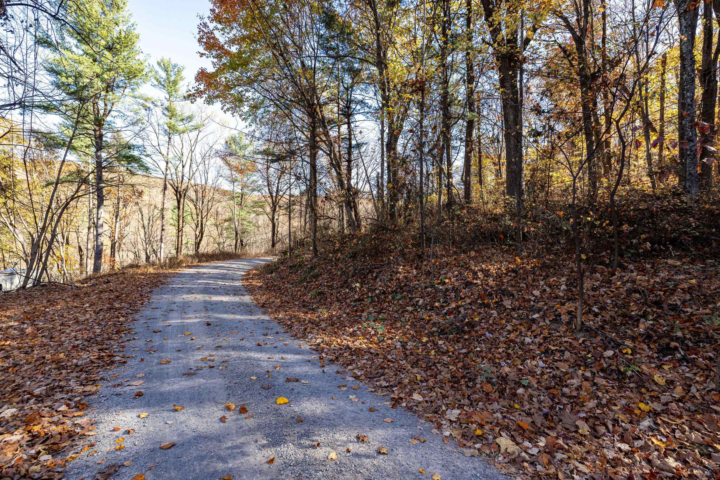 0 Friendly Lane Stanley, VA 22851 - Photo 48 of 49 a view of a yard with plants and trees