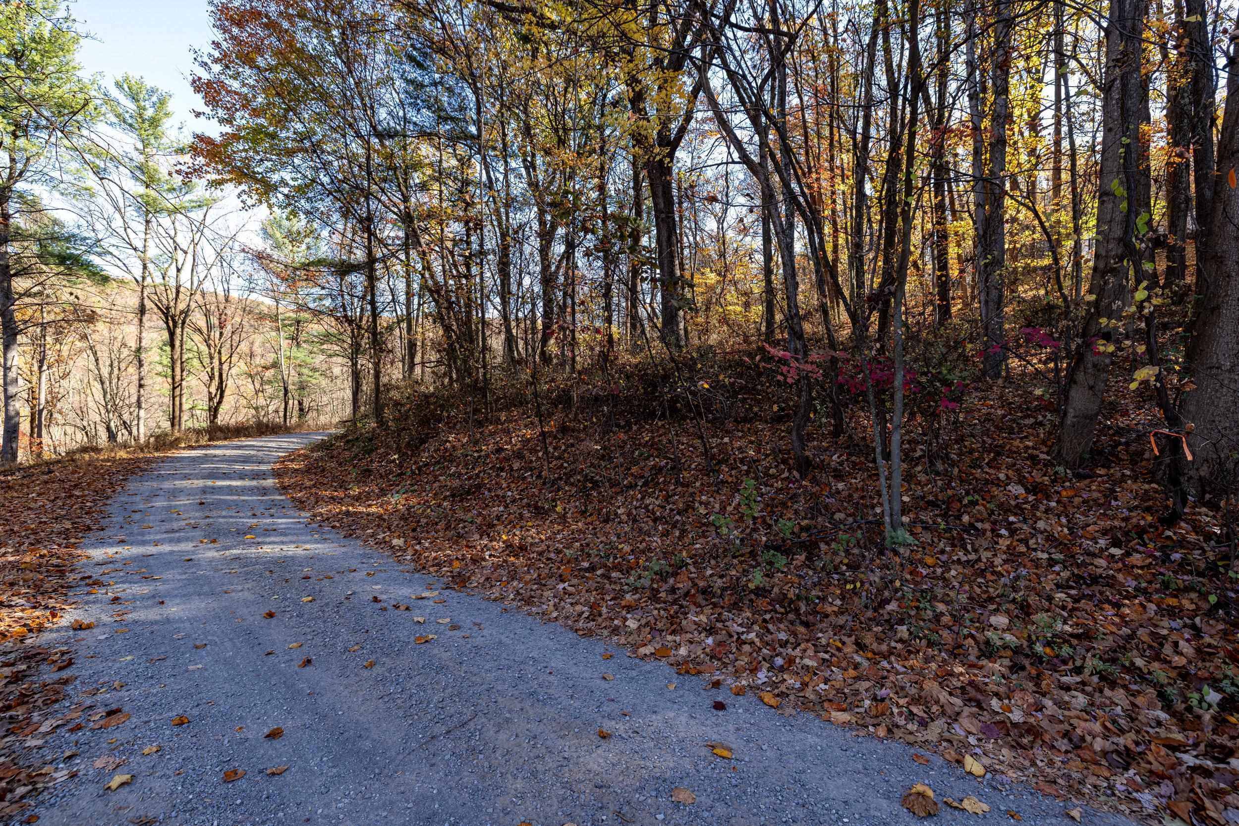 0 Friendly Lane Stanley, VA 22851 - Photo 49 of 49 a view of a yard with plants and trees
