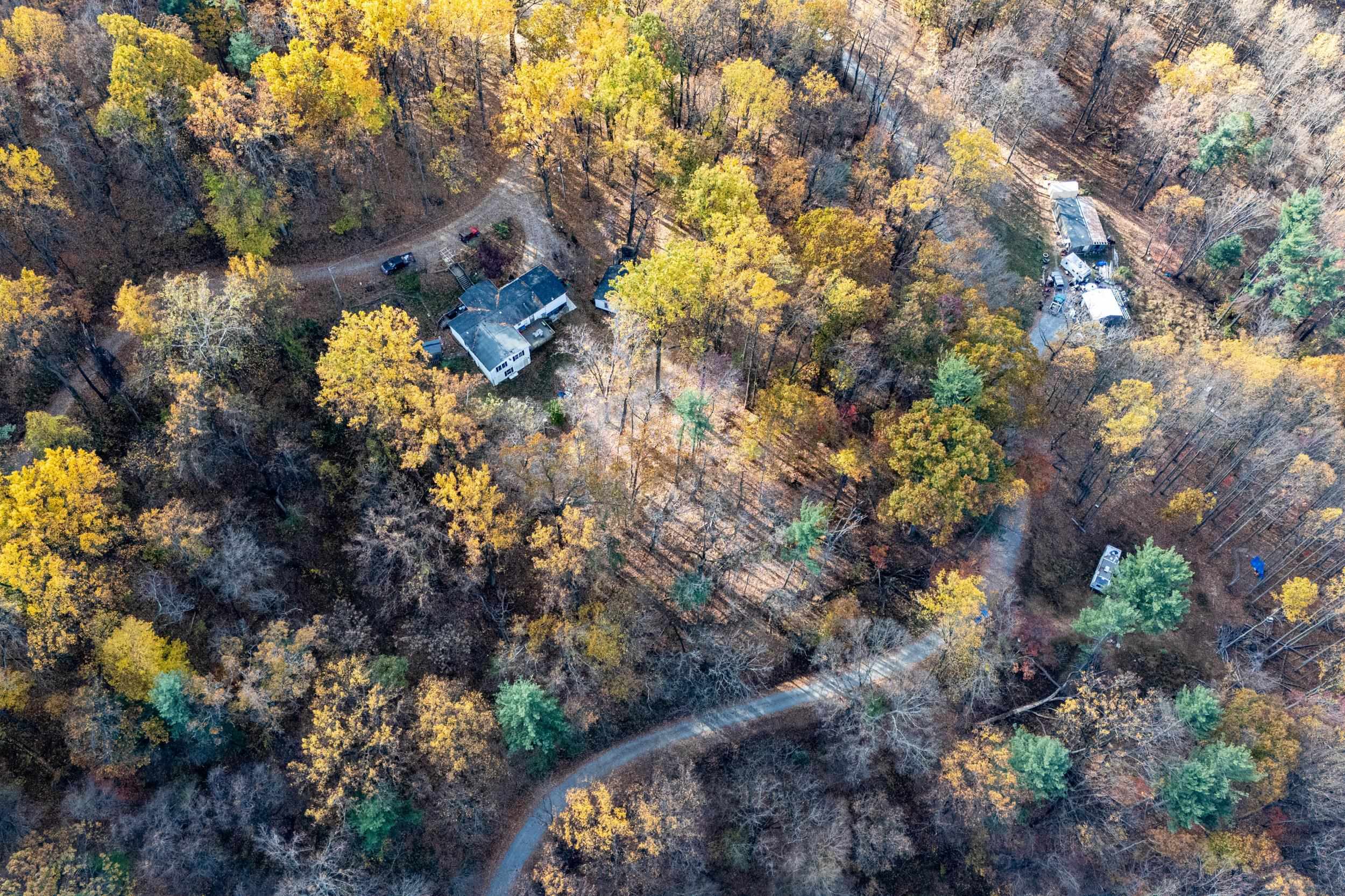 0 Friendly Lane Stanley, VA 22851 - Photo 6 of 49 a view of flowers in middle of the forest