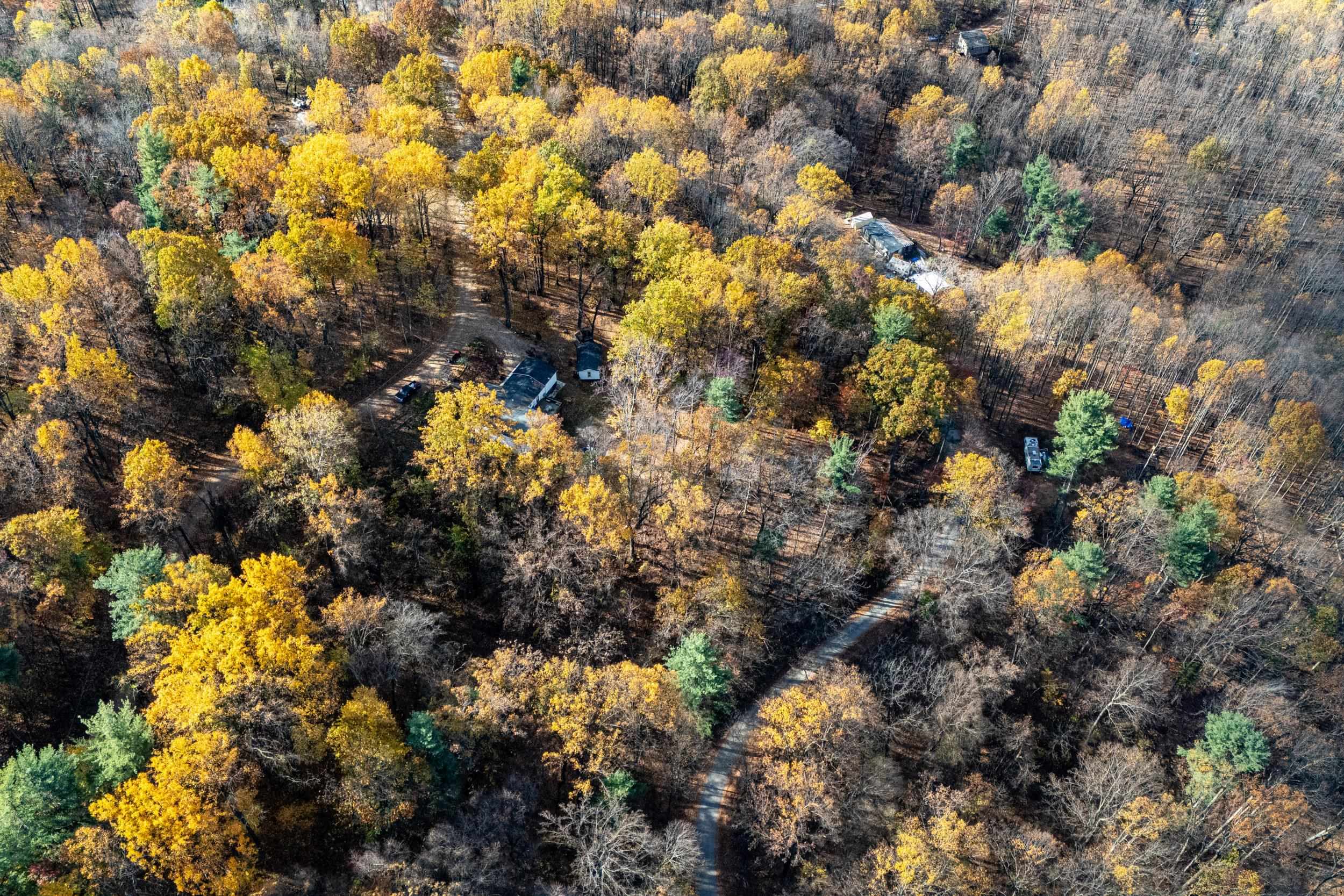 0 Friendly Lane Stanley, VA 22851 - Photo 7 of 49 a view of a tree