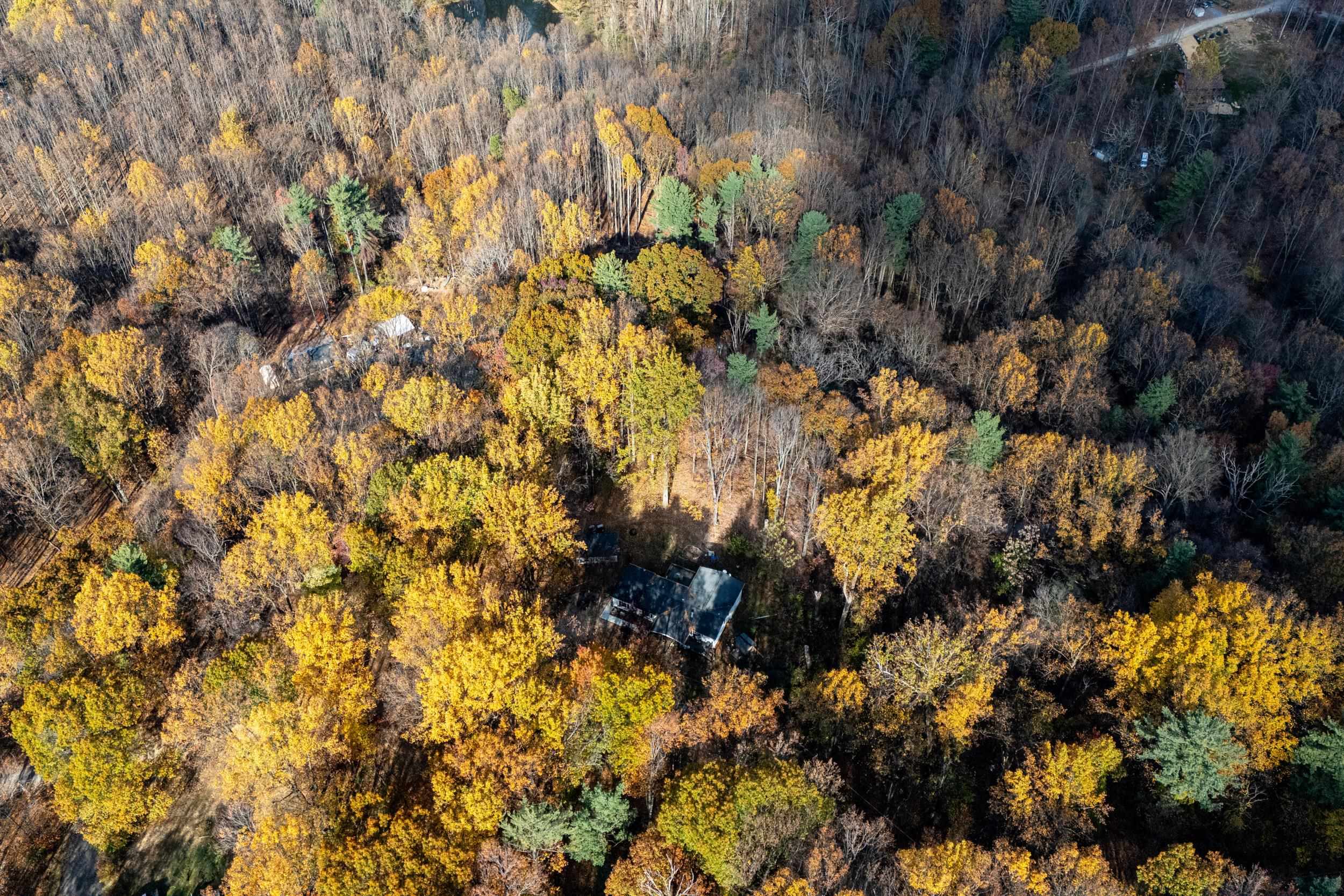 0 Friendly Lane Stanley, VA 22851 - Photo 9 of 49 a view of a tree