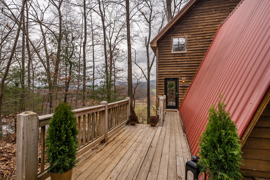 115 Barnhill Road Blairsville, GA 30512 - Photo 2 of 65