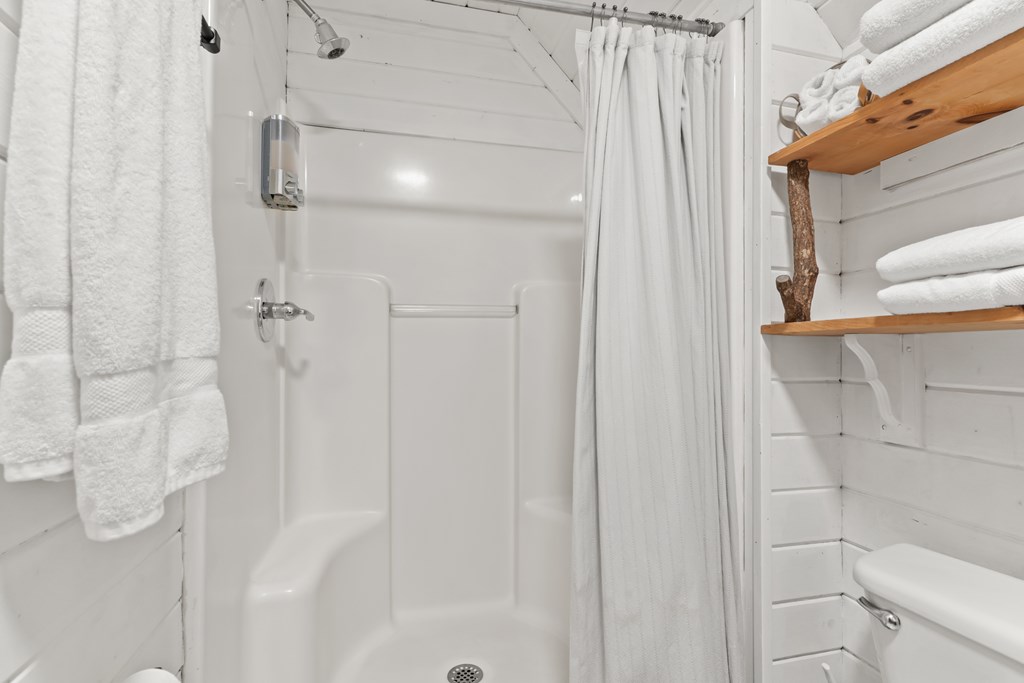 115 Barnhill Road Blairsville, GA 30512 - Photo 36 of 65 a bathroom with a shower and toilet