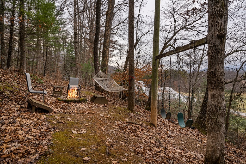 115 Barnhill Road Blairsville, GA 30512 - Photo 49 of 65