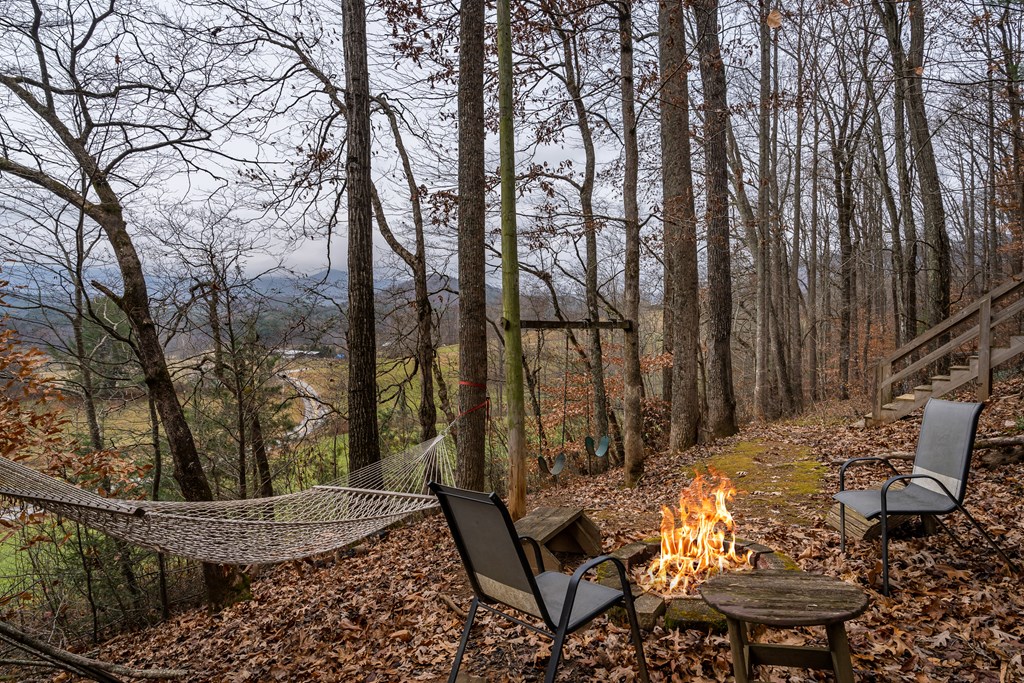 115 Barnhill Road Blairsville, GA 30512 - Photo 50 of 65 a view of a backyard with large trees and wooden fence