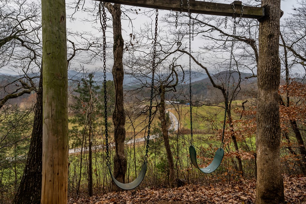 115 Barnhill Road Blairsville, GA 30512 - Photo 53 of 65