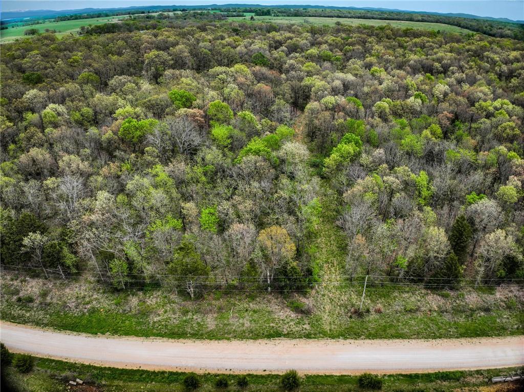Lot 2 South 725 Road Stockton, MO 65785 - Photo 38 of 48