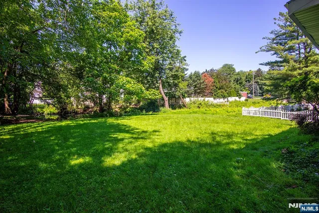 a view of a park with large trees