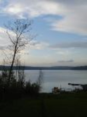 1 Hermance Road Galway, NY 12025 - Photo 4 of 5 Photo 4