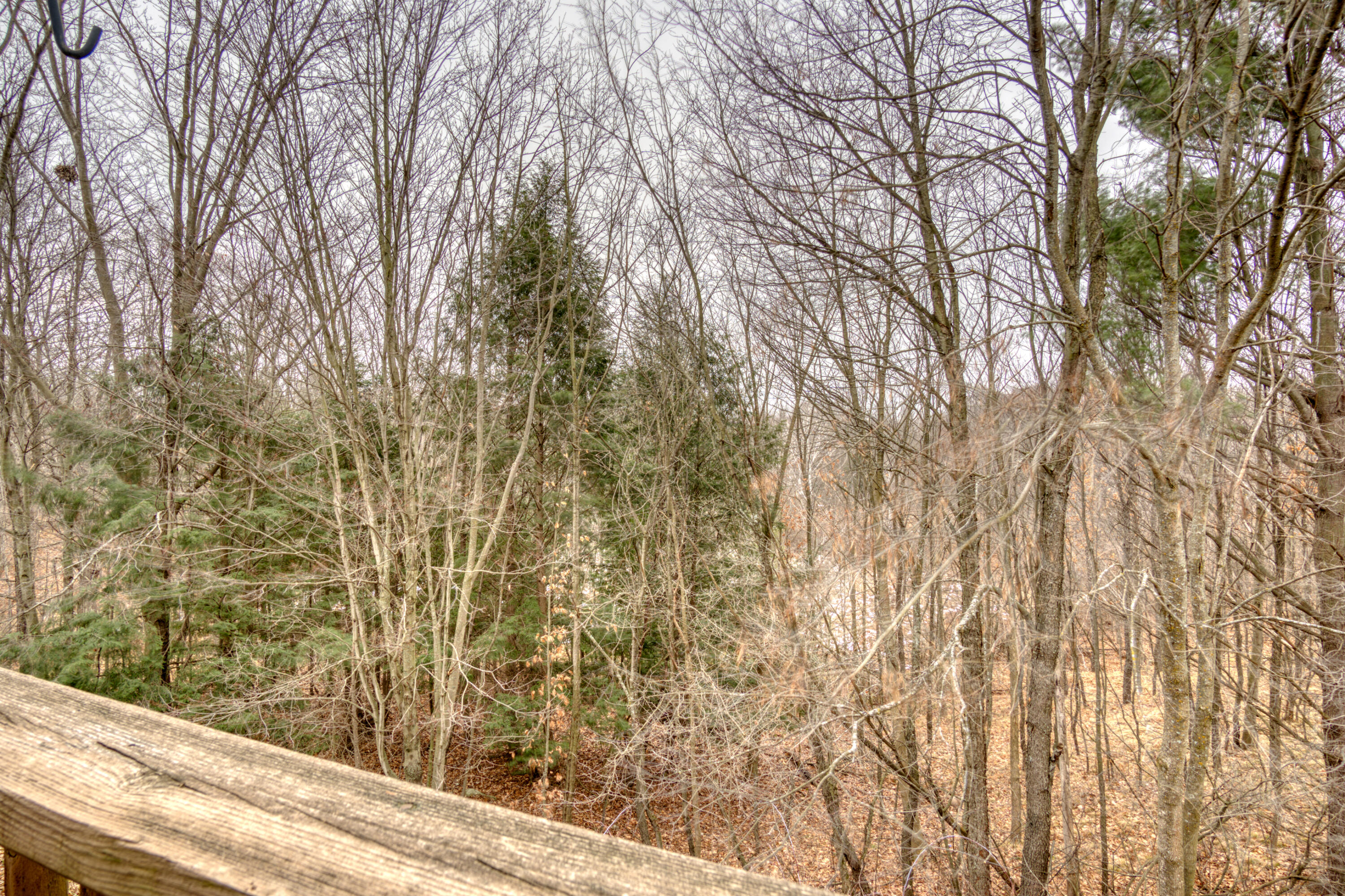 4245 230th Avenue Reed City, MI 49677 - Photo 26 of 33 DSC03640_23