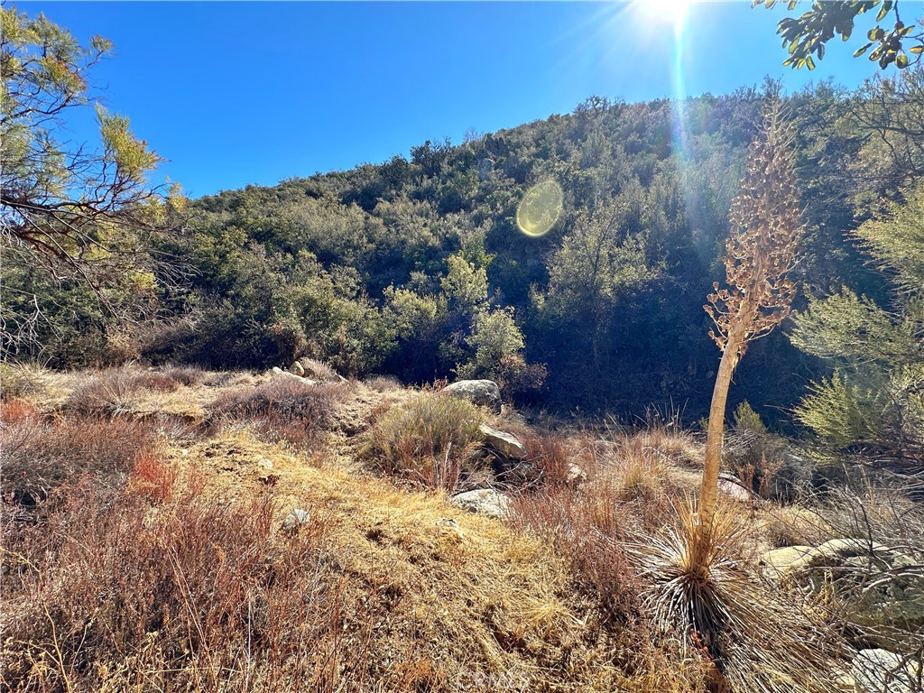 28618 Chihuahua Valley Road Warner Springs, CA 92086 - Photo 12 of 38 a view of a yard