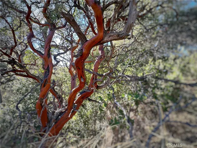a view of city and mountain