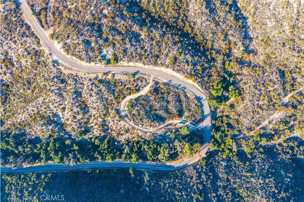 28618 Chihuahua Valley Road Warner Springs, CA 92086 - Photo 33 of 38 a view of a tree in a yard