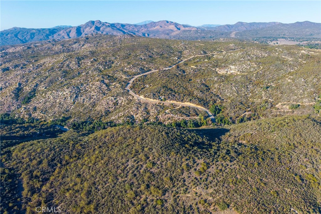 28618 Chihuahua Valley Road Warner Springs, CA 92086 - Photo 36 of 38 a view of a forest with a mountain
