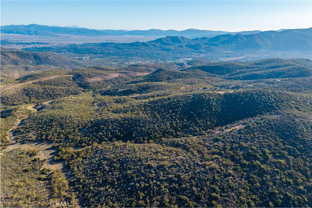 28618 Chihuahua Valley Road Warner Springs, CA 92086 - Photo 9 of 38 a view of a dry yard with trees