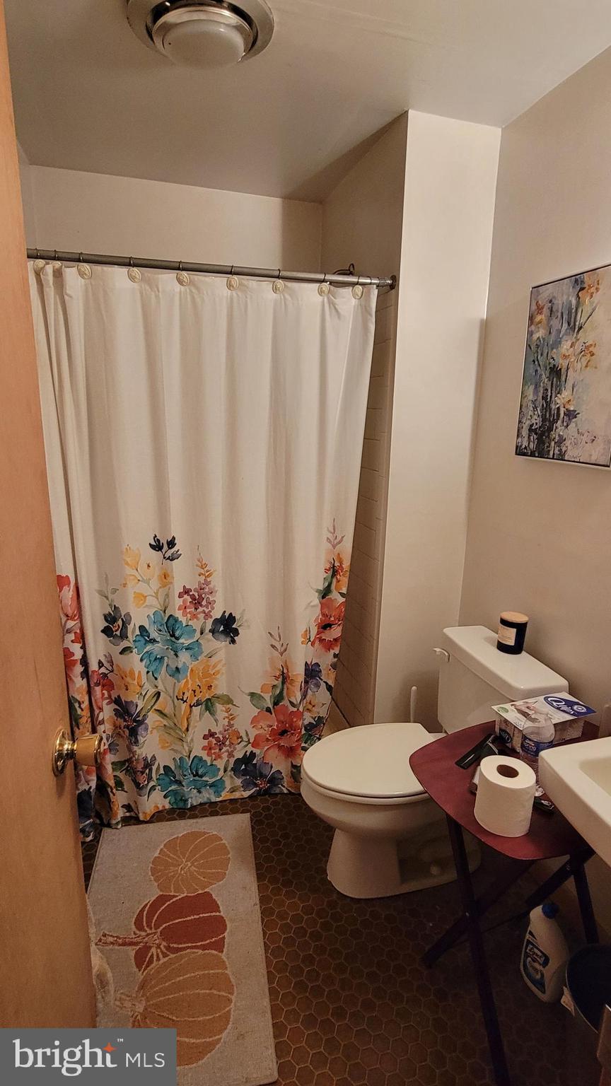 5460 South Renn Road Frederick, MD 21703 - Photo 48 of 67 full bath lower level