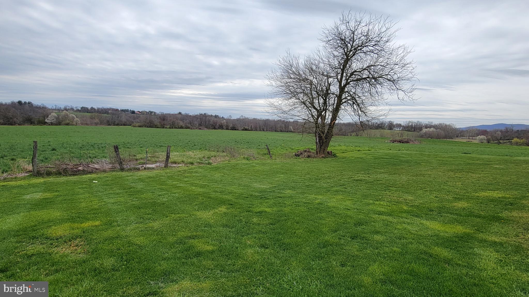 5460 South Renn Road Frederick, MD 21703 - Photo 54 of 67 view to east from dairy barn area