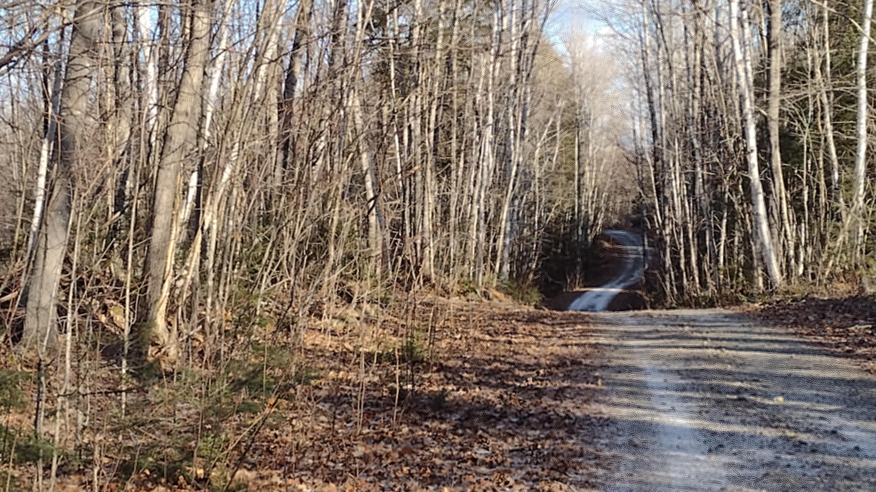 40.2 Mountain Road Linneus, ME 04730 - Photo 2 of 6 IMG_20211214_105037181