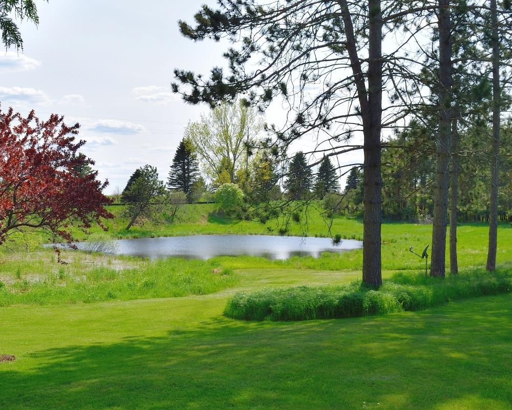 9401 No 52 Road Cadillac, MI 49601 - Photo 3 of 39