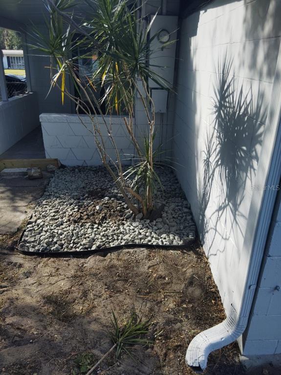 1407 Berwyn Road Orlando, FL 32806 - Photo 36 of 42 a vase of flowers sitting on a table