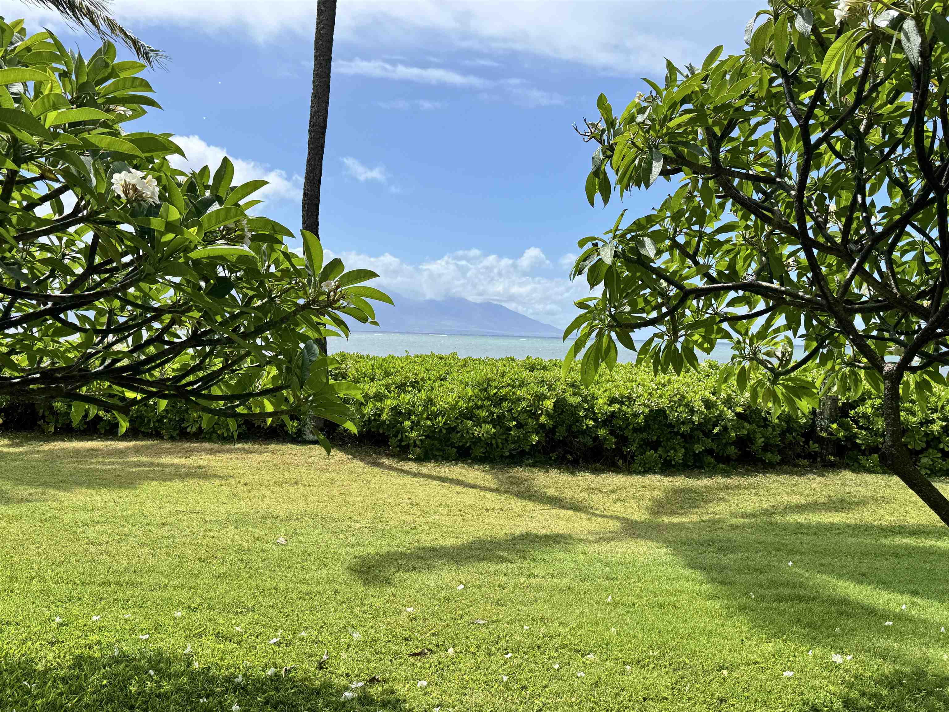 7142 Kamehameha V Highway, Unit A110 Kaunakakai, HI 96748 - Photo 1 of 20 a view of a garden with a chair