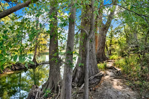 $375,000 | 730 East Mather Street, Unit B101, New Braunfels, TX 78130