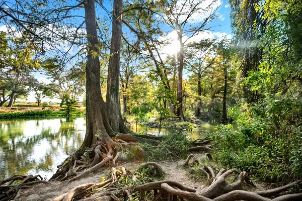 $375,000 | 730 East Mather Street, Unit B101, New Braunfels, TX 78130