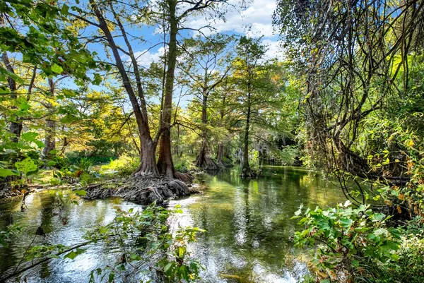 $375,000 | 730 East Mather Street, Unit B101, New Braunfels, TX 78130
