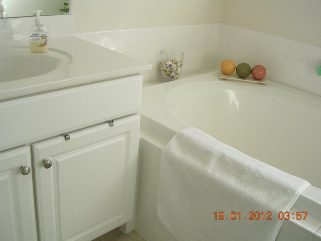 986 Mill Field Road Bath, NC 27808 - Photo 11 of 16 Additional Photo
