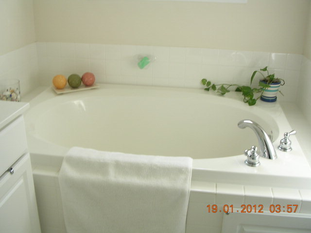 986 Mill Field Road Bath, NC 27808 - Photo 12 of 16 Additional Photo