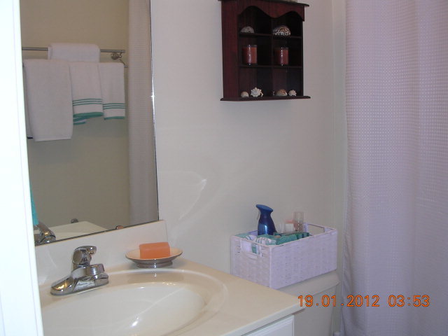 986 Mill Field Road Bath, NC 27808 - Photo 10 of 16 Additional Photo