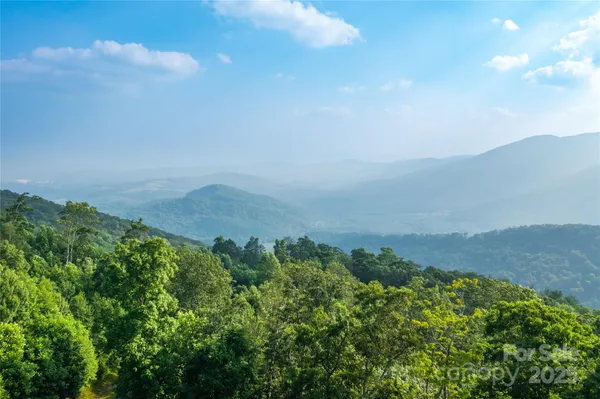 a view of a forest with a mountain