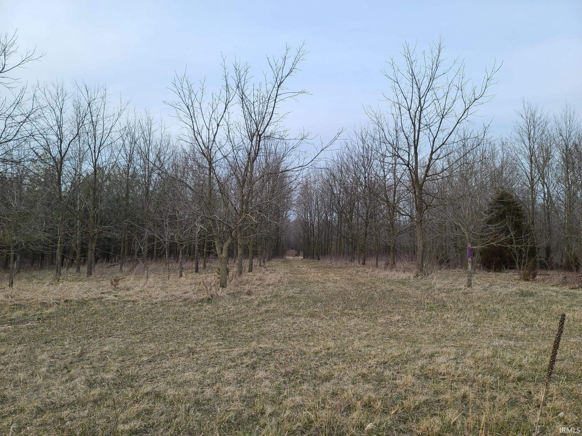0 County Road 52 Butler, IN 46721 - Photo 1 of 3