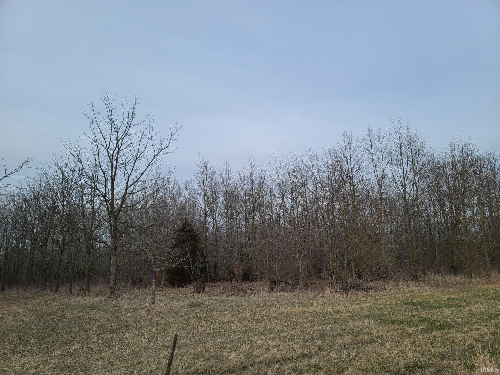 0 County Road 52 Butler, IN 46721 - Photo 2 of 3