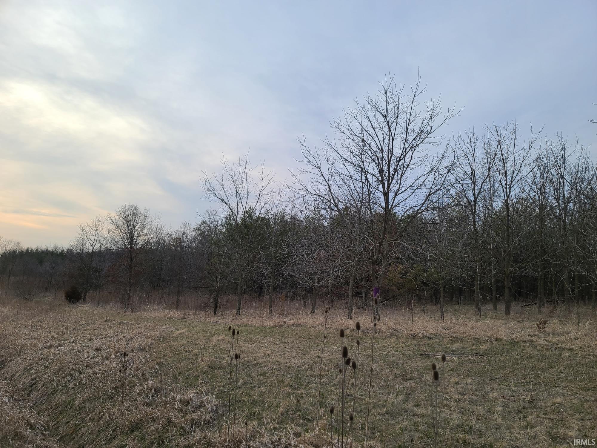 0 County Road 52 Butler, IN 46721 - Photo 3 of 3