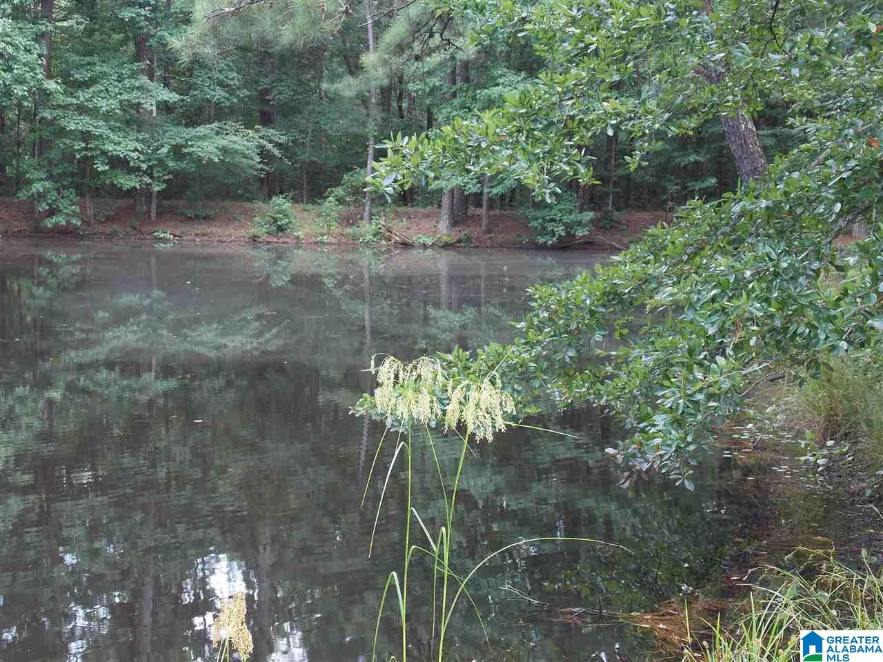 1319 Westover Road Sterrett, AL 35147 - Photo 10 of 38