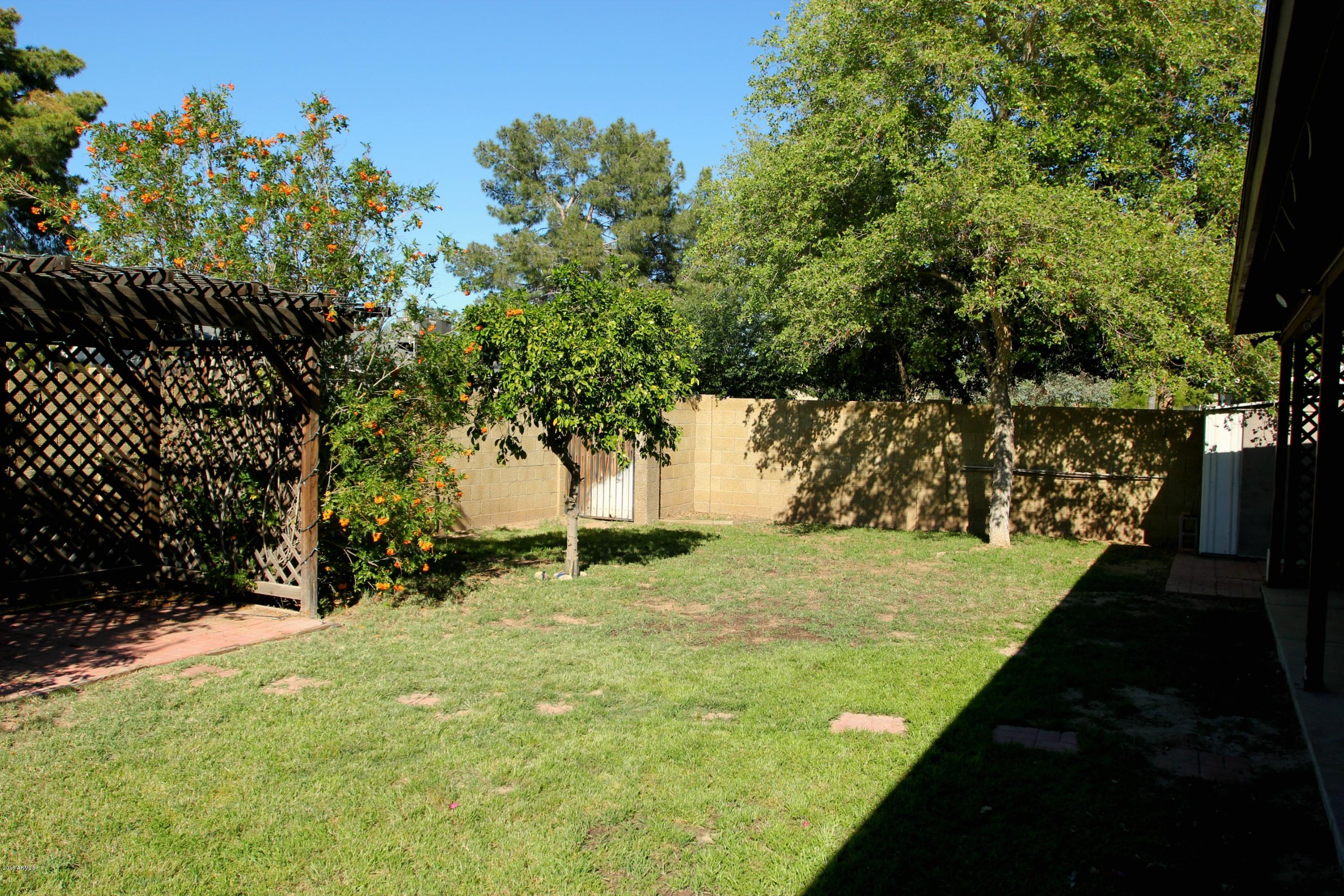 2018 East Frye Road Chandler, AZ 85225 - Photo 10 of 11 Backyard