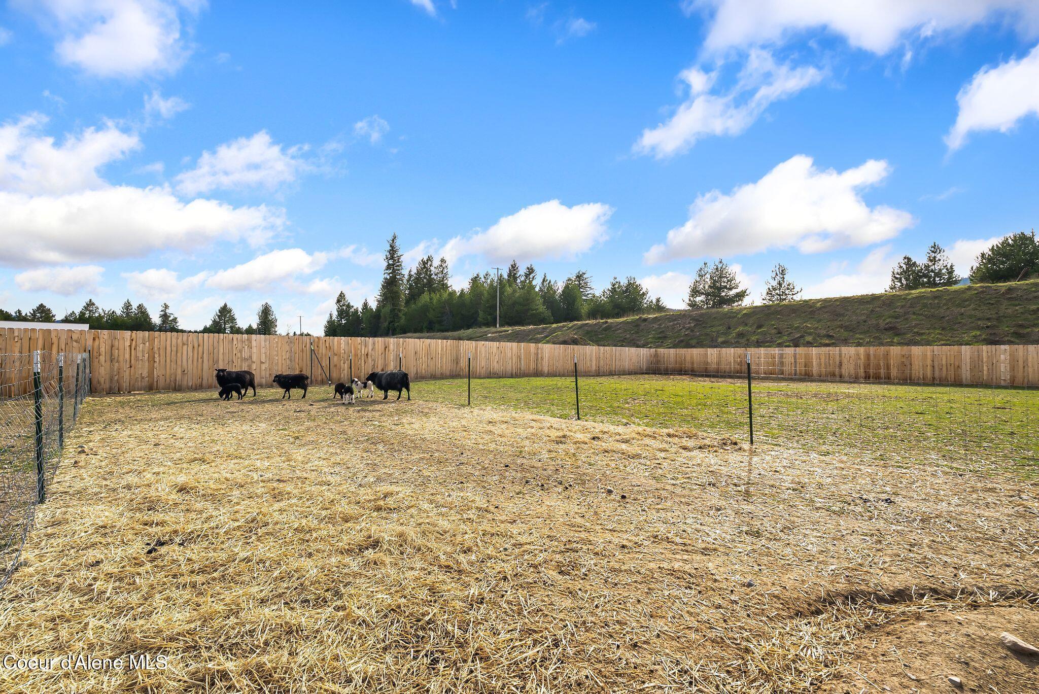 100 Omaha Way Sagle, ID 83860 - Photo 25 of 38 22_DSC04150