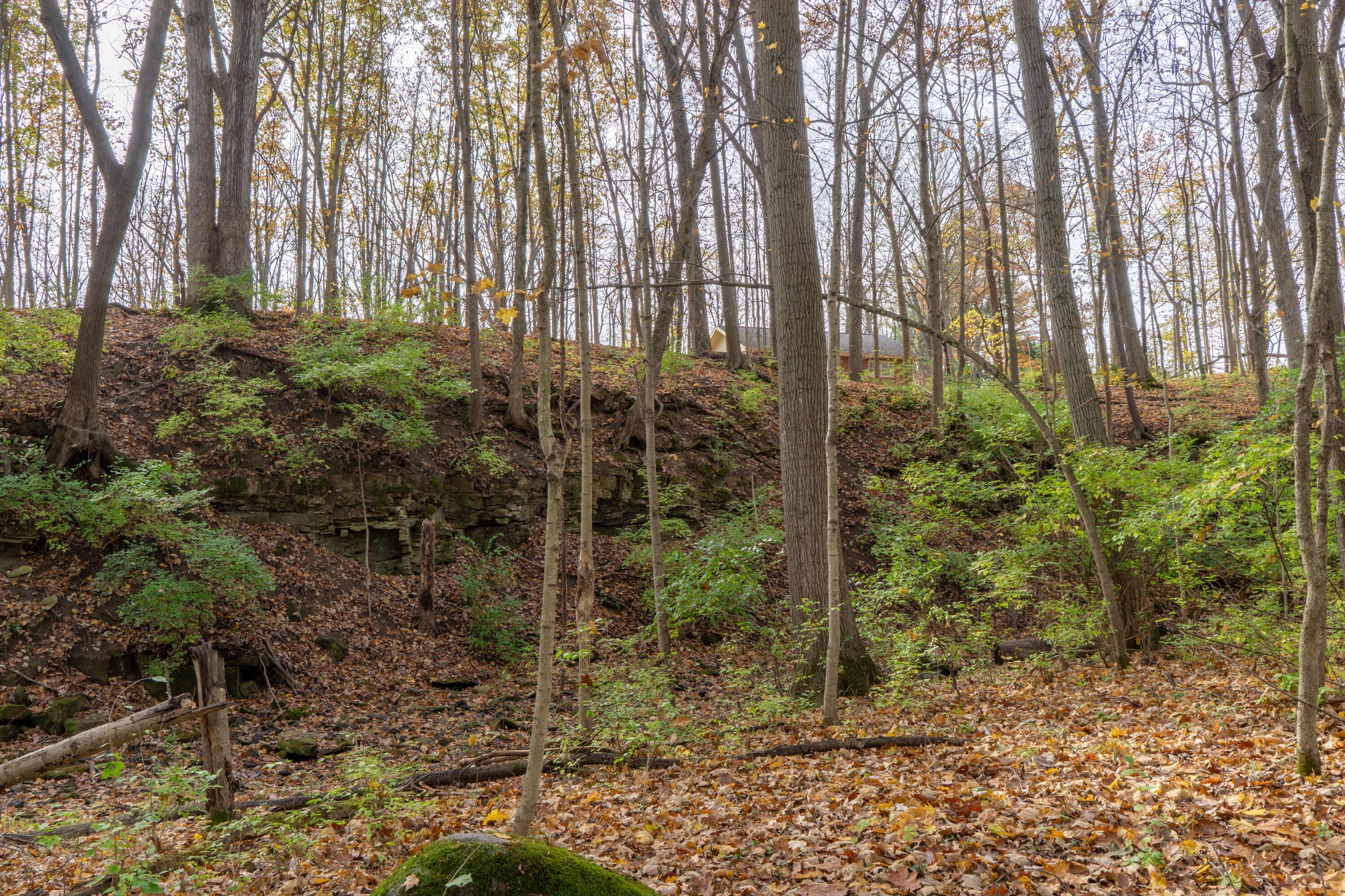 3880 Fry Road Ostrander, OH 43061 - Photo 67 of 82 Unique rock formations under a canopy of mature trees.