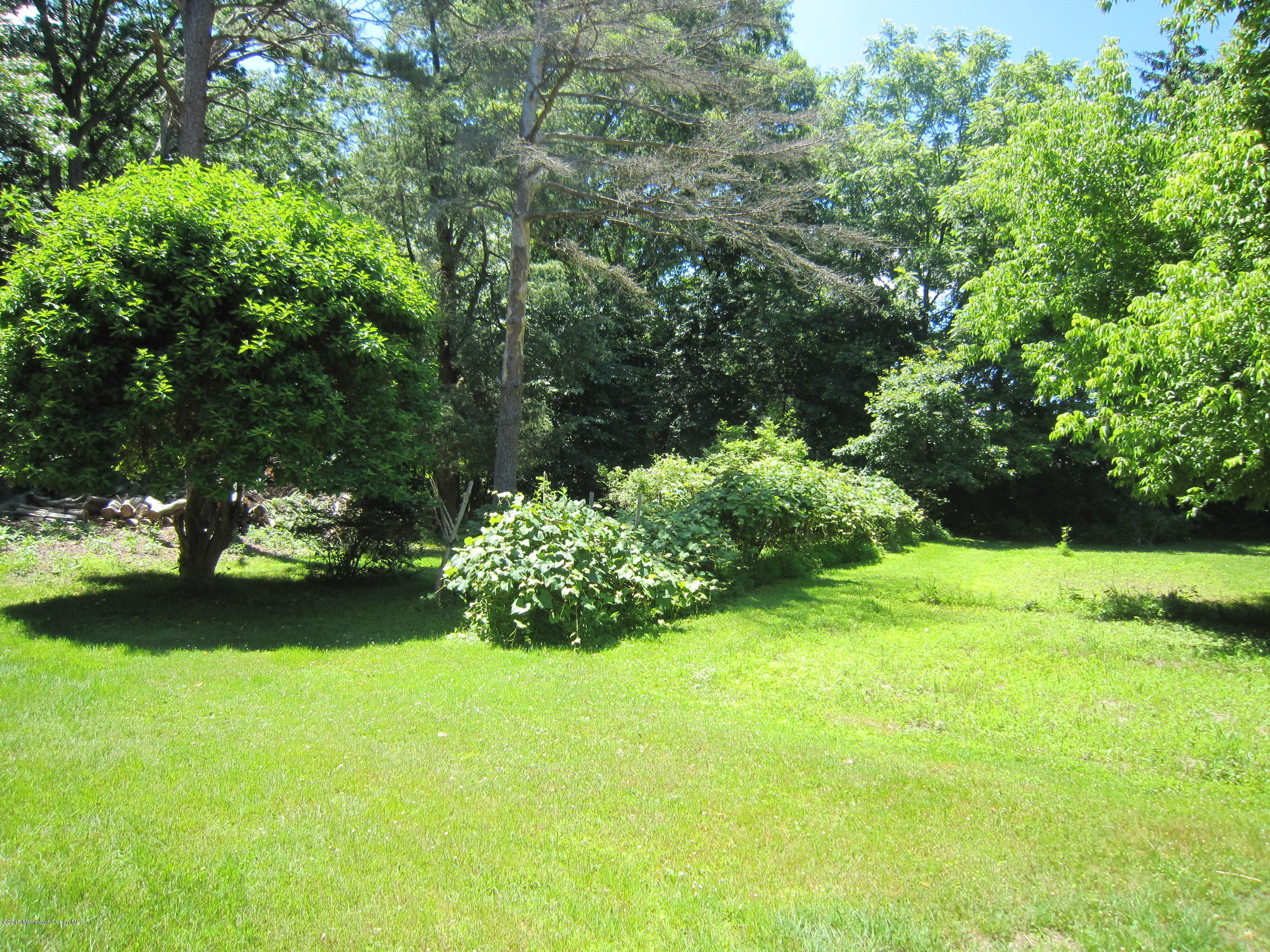 482 Brickyard Road Freehold, NJ 07728 - Photo 10 of 17 a view of a garden with a bench