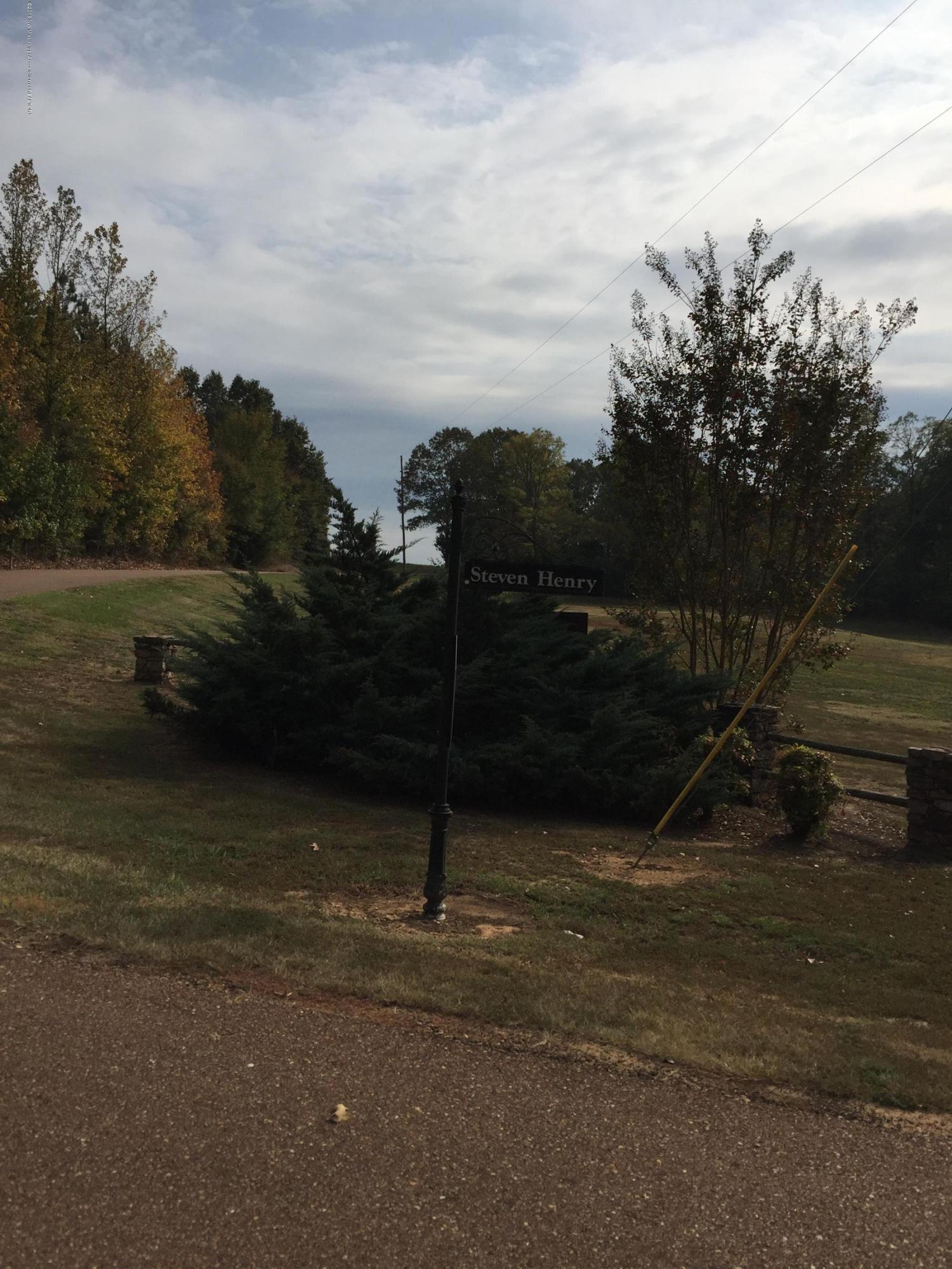 20 Steven Henry Road Hernando, MS 38632 - Photo 2 of 3 IMG_4509