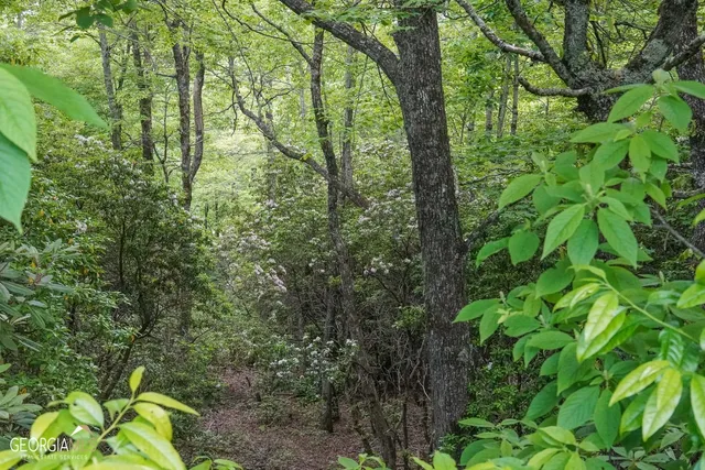 $62,000 | 0 Rainbow Lake Drive, Unit 38B, Dillard, GA 30537