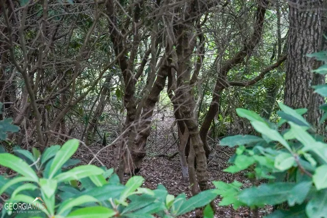 $62,000 | 0 Rainbow Lake Drive, Unit 38B, Dillard, GA 30537