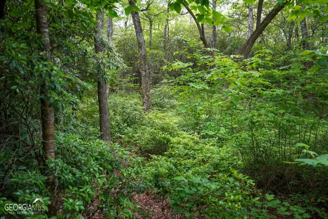 $62,000 | 0 Rainbow Lake Drive, Unit 38B, Dillard, GA 30537