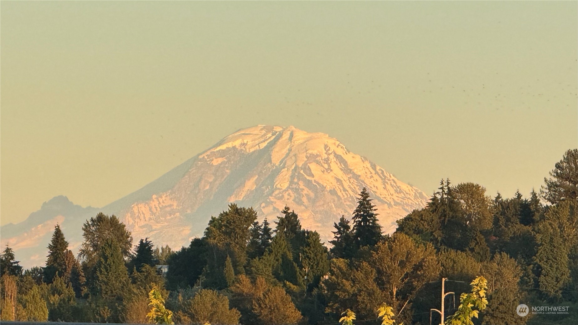 1042 South Director Street Seattle, WA 98108 - Photo 2 of 40 a view of mountains and mountain