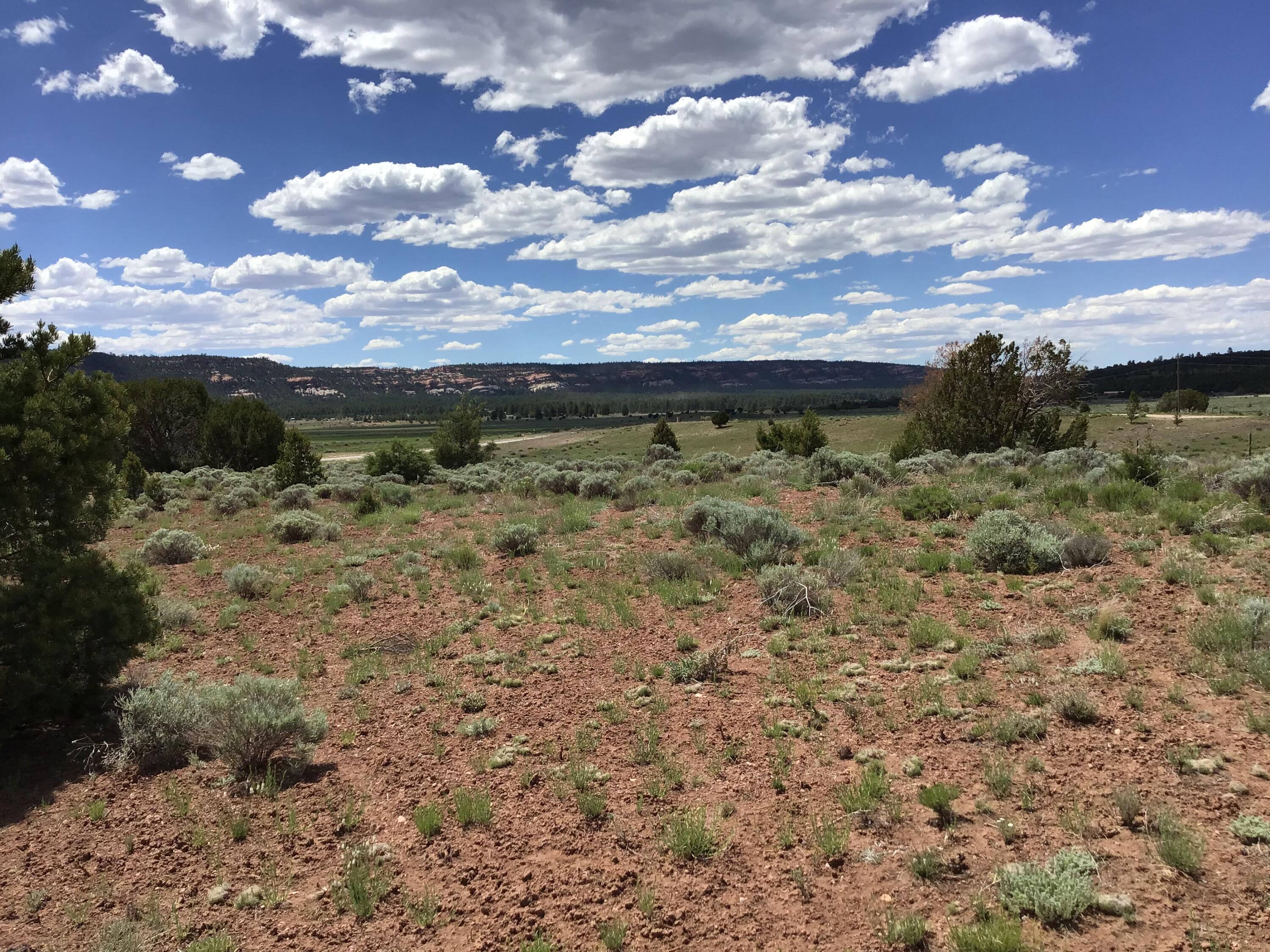 Lot D Timberlake Road Ramah, NM 87321 - Photo 9 of 45 Gallery Image 9