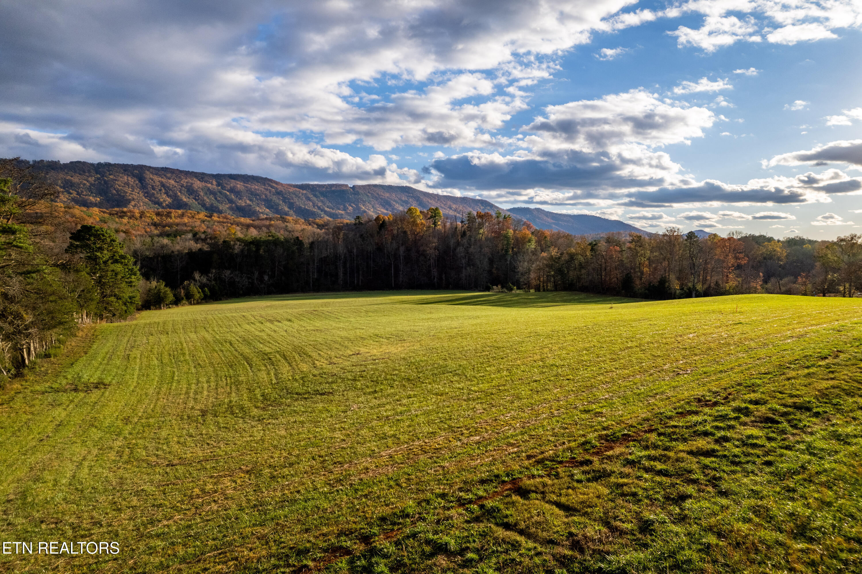 1029 Oscar Best Road Maryville, TN 37803 - Photo 1 of 15 OscarBestlots-40