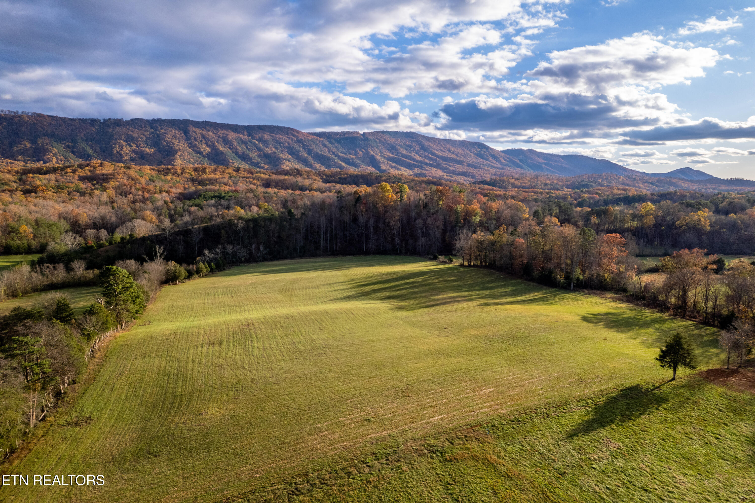1029 Oscar Best Road Maryville, TN 37803 - Photo 14 of 15 OscarBestlots-39