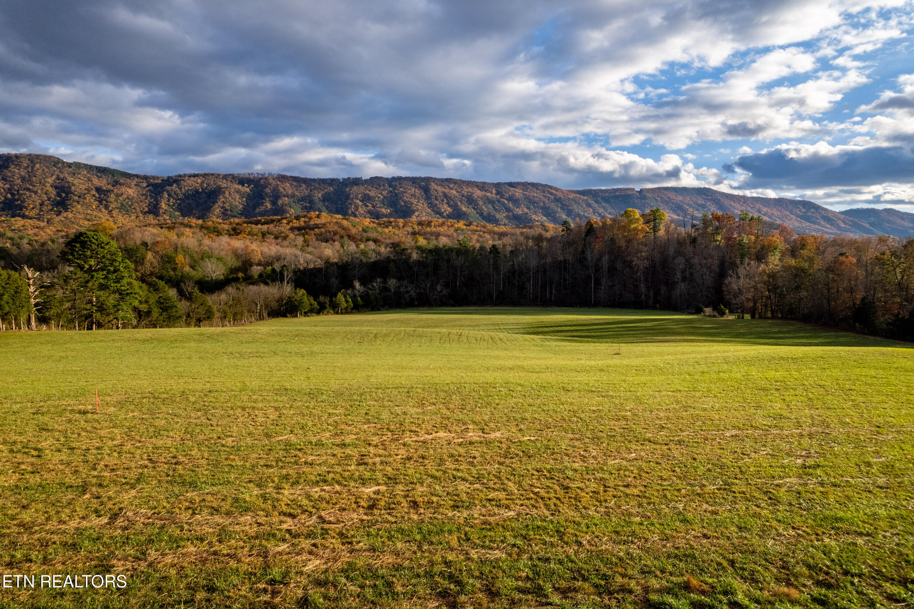 1029 Oscar Best Road Maryville, TN 37803 - Photo 15 of 15 OscarBestlots-41