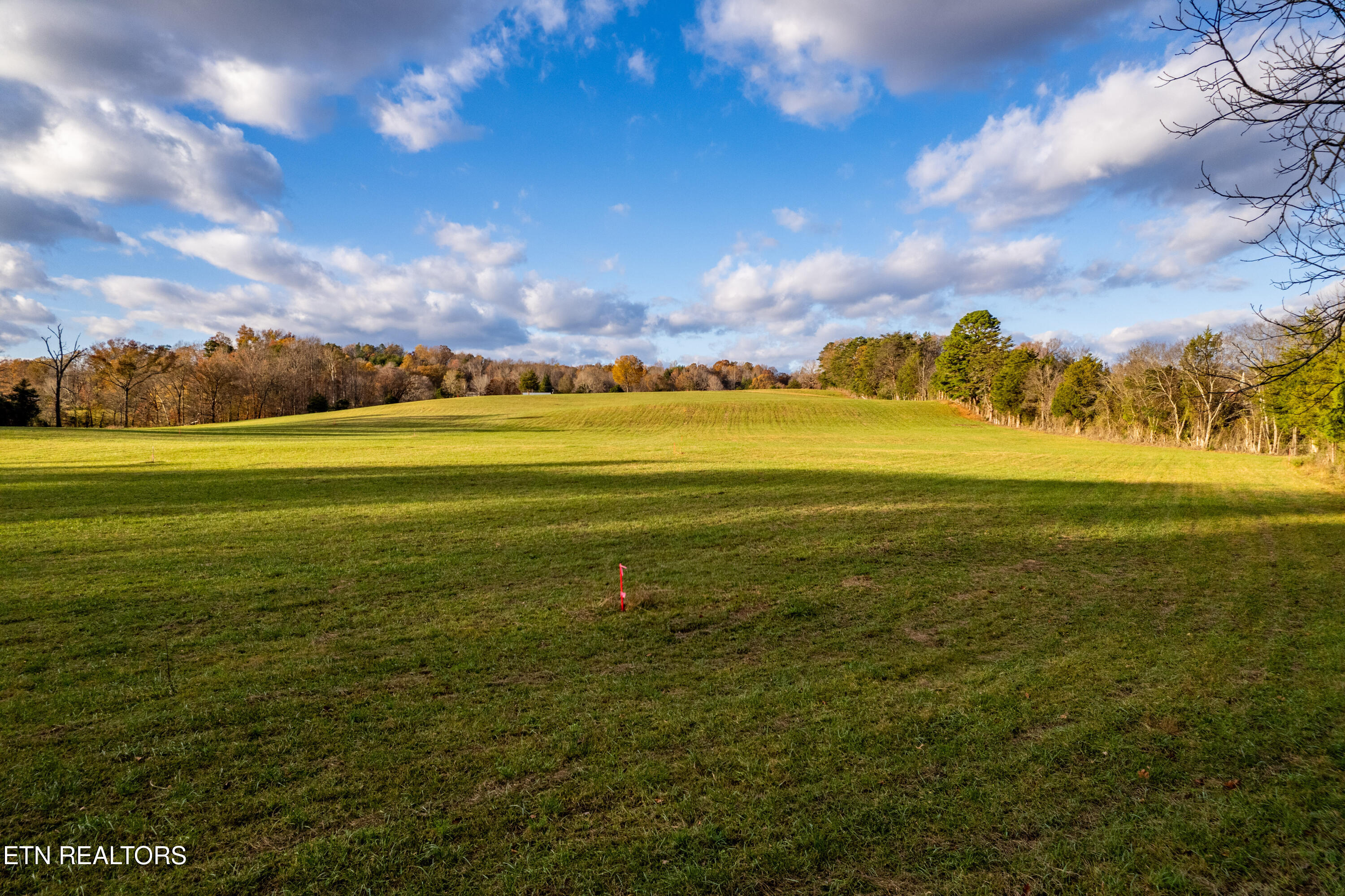 1029 Oscar Best Road Maryville, TN 37803 - Photo 2 of 15 OscarBestlots-30